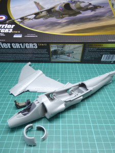 Harrier 1.jpg